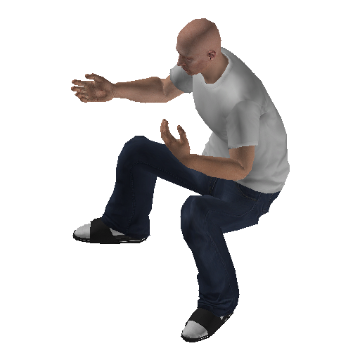 anim@mp_player_intincarv_signbodhi@rps@ representative animation pose
