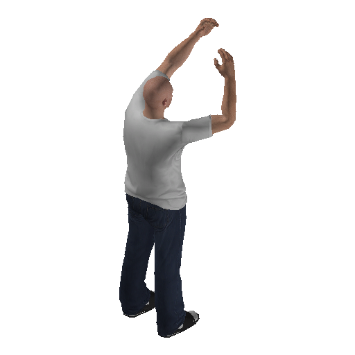 anim@mp_player_intincarfreakoutbodhi@rps@_1 representative animation pose