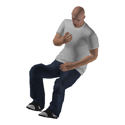anim@mp_player_intincarfingerbodhi@ps@_1 representative animation pose