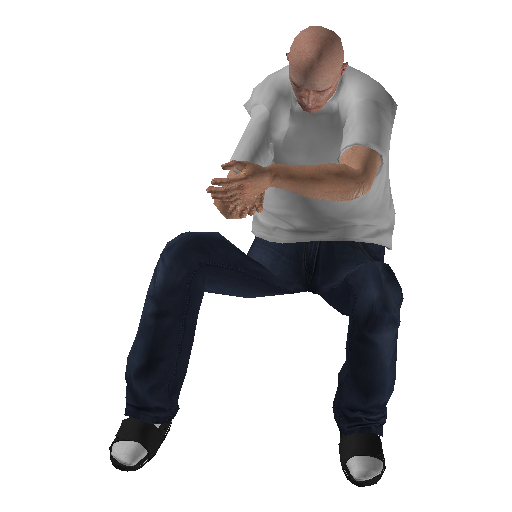 anim@mp_player_intincarbang_bangbodhi@rds@ representative animation pose