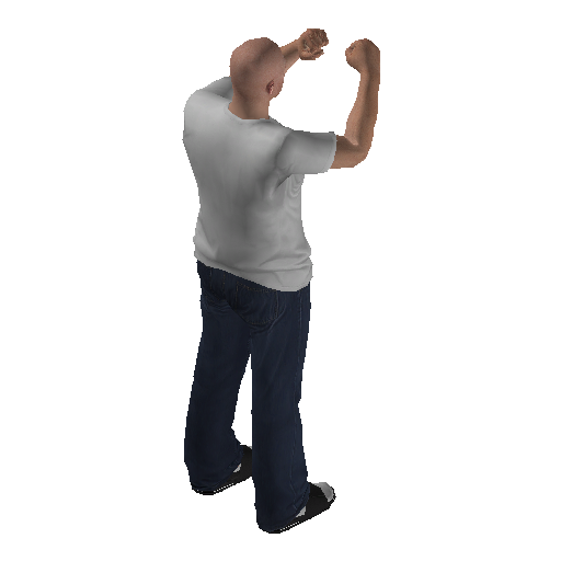 anim@mp_player_intin_carshadow_boxingbodhi@ps@_1 representative animation pose