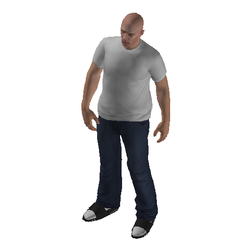 anim@mp_celebration@idles@male representative animation pose