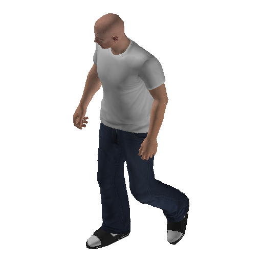 iaa_int-1 representative animation pose