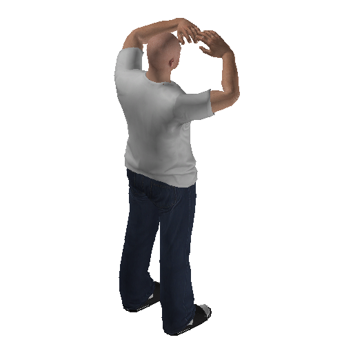 anim@mp_player_intin_carcry_babystd@rds@_1 representative animation pose
