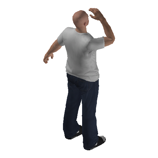anim@mp_player_intincarsalutebodhi@ds@_1 representative animation pose