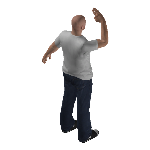 anim@mp_player_intincarsalutebodhi@ds@_2 representative animation pose