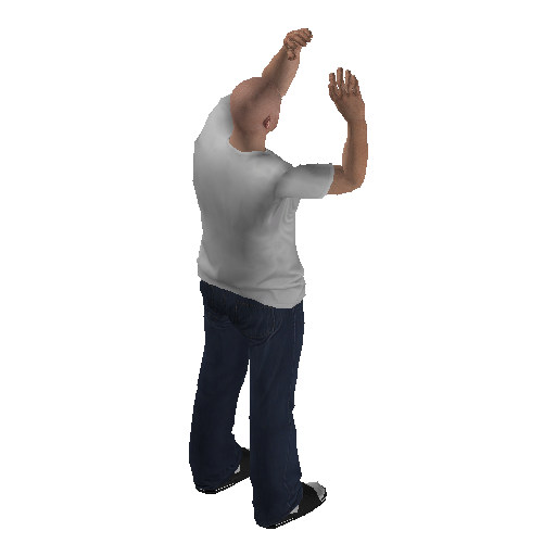 anim@mp_player_intincarthumb_on_earsbodhi@rds@ representative animation pose