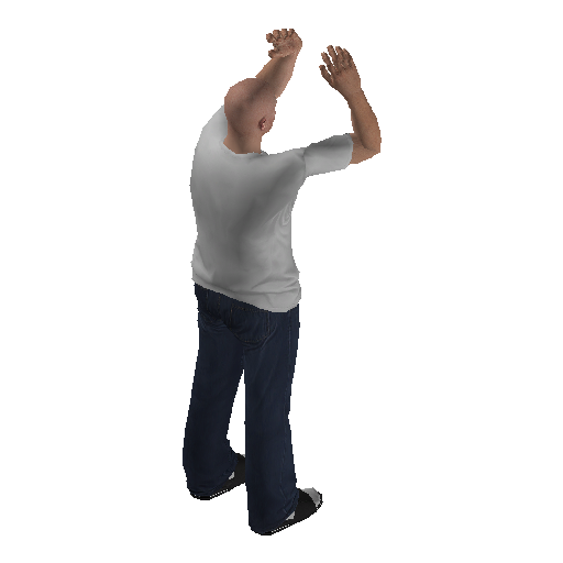 anim@mp_player_intincarthumb_on_earsbodhi@rps@ representative animation pose