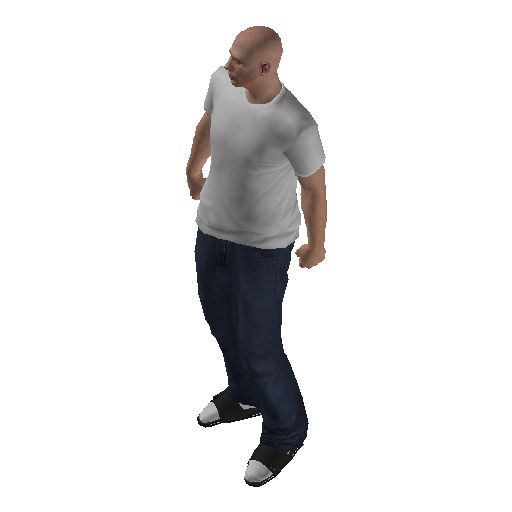 hs4_scp_bch-12 representative animation pose