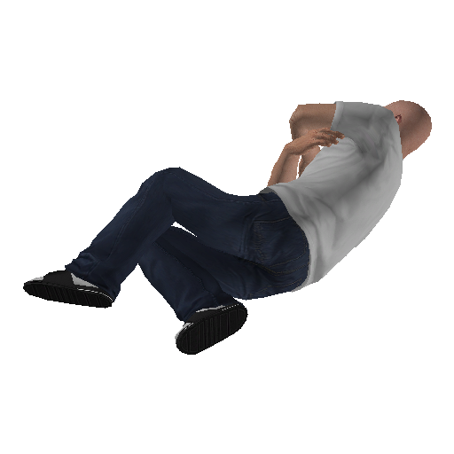 anim@mp_bedmid@left_var_01 representative animation pose