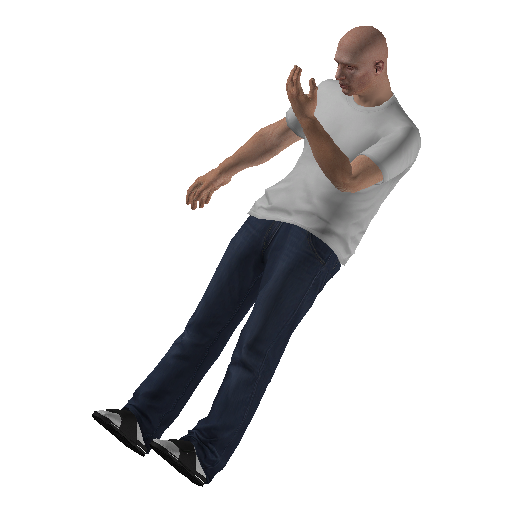 anim@mp_player_intincarfingerlow@ds@_1 representative animation pose