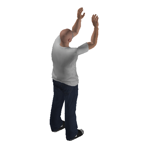 anim@mp_player_intincarpeacebodhi@rps@ representative animation pose
