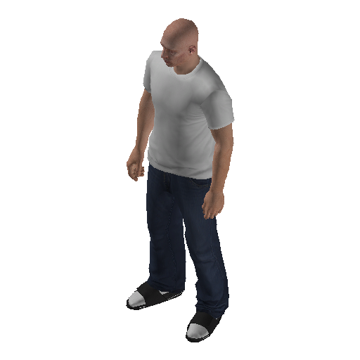 hs4f_int-11 representative animation pose