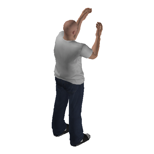 anim@mp_player_intincarfreakoutstd@ds@_1 representative animation pose
