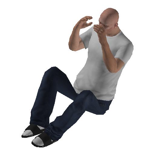 anim@mp_player_intincarphotographystd@ps@ representative animation pose
