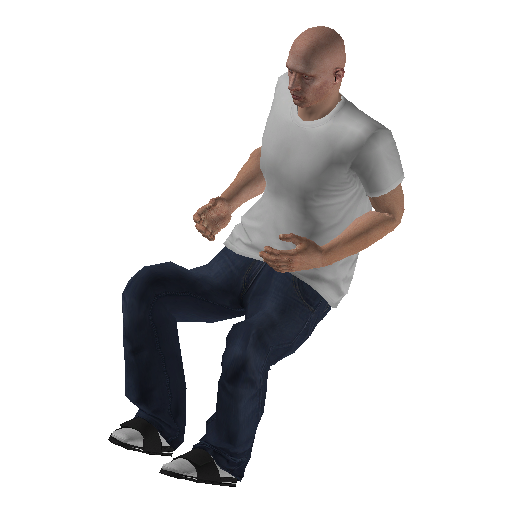 anim@mp_player_intincarair_shaggingbodhi@ps@ representative animation pose