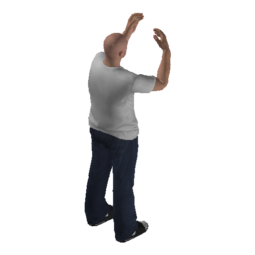 anim@mp_player_intincarfreakoutbodhi@ds@ representative animation pose