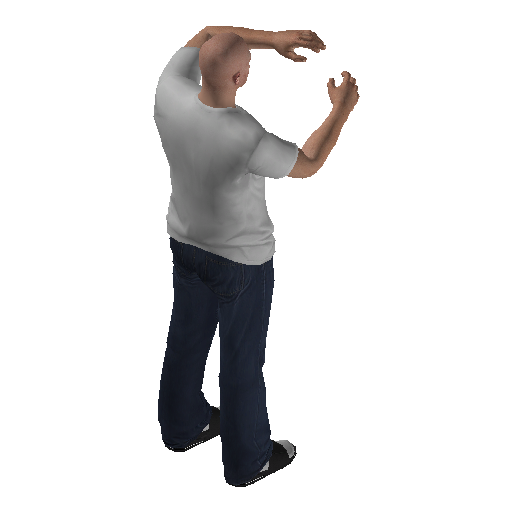 anim@mp_player_intincarrespectbodhi@ds@ representative animation pose