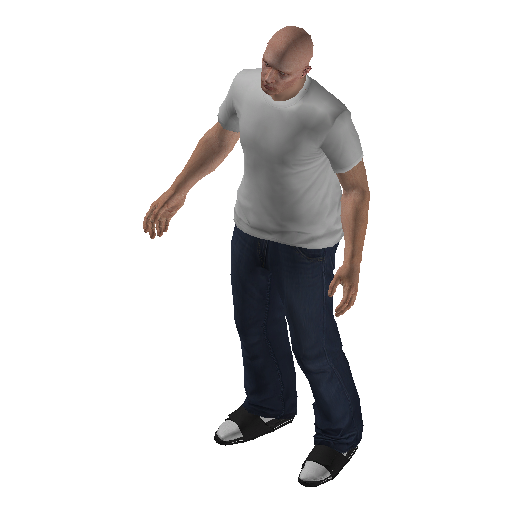 anim@mp_celebration@draw@male representative animation pose