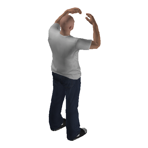 anim@mp_player_intin_carmind_blownbodhi@ps@ representative animation pose