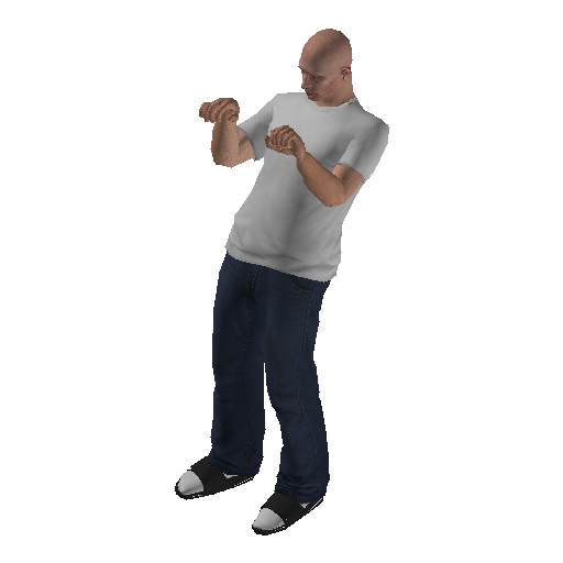 hs4f_int-0 representative animation pose