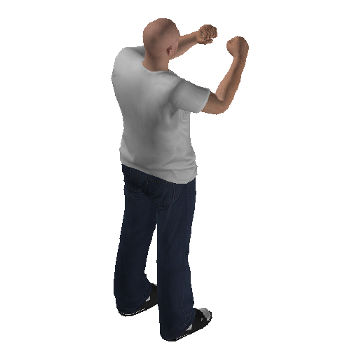 anim@mp_player_intin_carshadow_boxingstd@ds@_1 representative animation pose