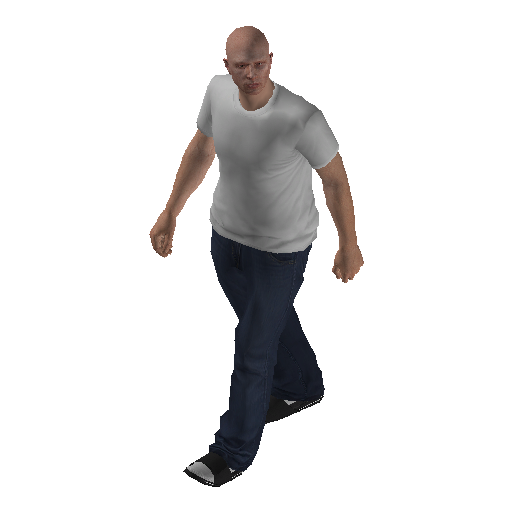 low_int-1 representative animation pose