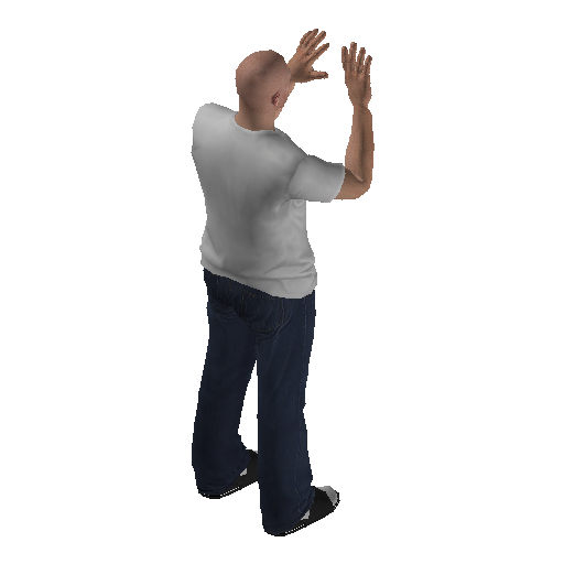 anim@mp_player_intincarsurrenderbodhi@ps@_1 representative animation pose