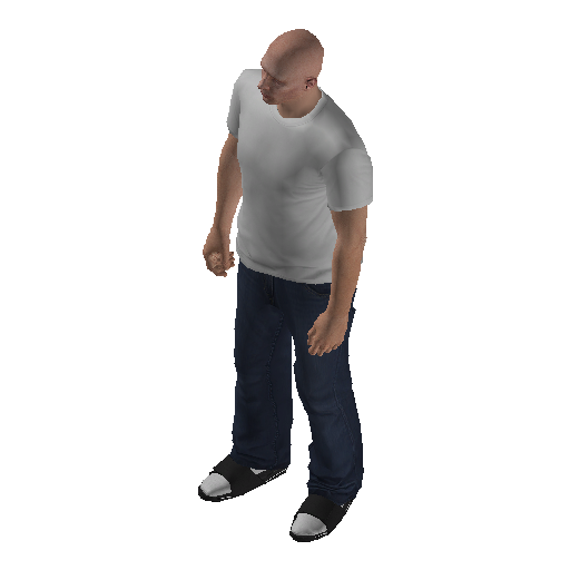 hs4f_int-15 representative animation pose
