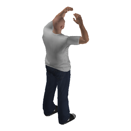 anim@mp_player_intin_carmind_blownbodhi@rds@ representative animation pose