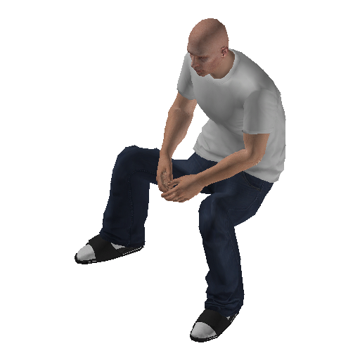 hs4f_tro_ent-4 representative animation pose