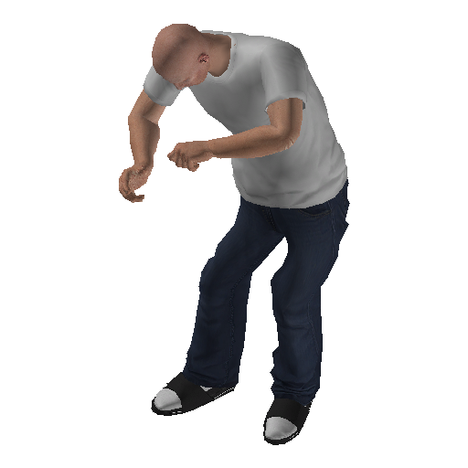low_int-0 representative animation pose