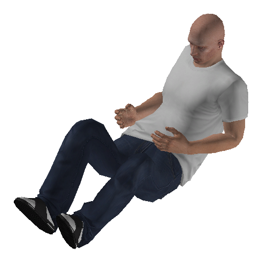 anim@mp_player_intincarair_shagginglow@ps@ representative animation pose