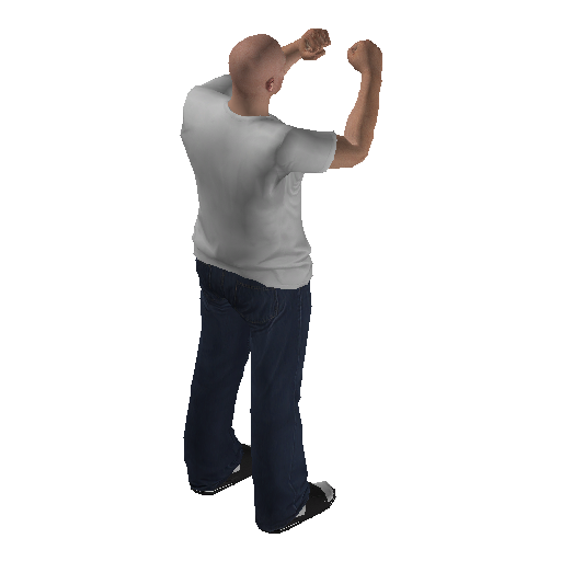 anim@mp_player_intin_carshadow_boxingbodhi@ds@_1 representative animation pose