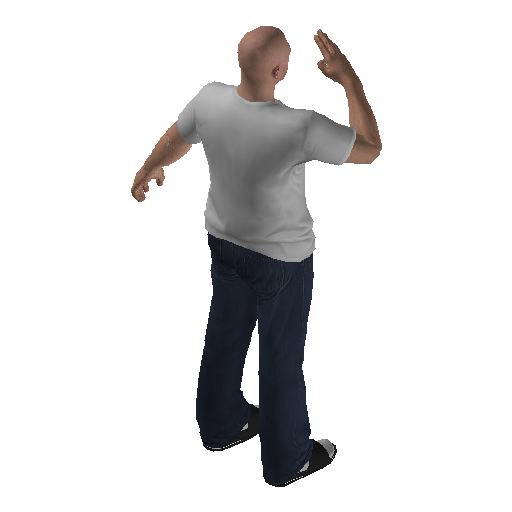 anim@mp_player_intincarsalutelow@ds@_2 representative animation pose