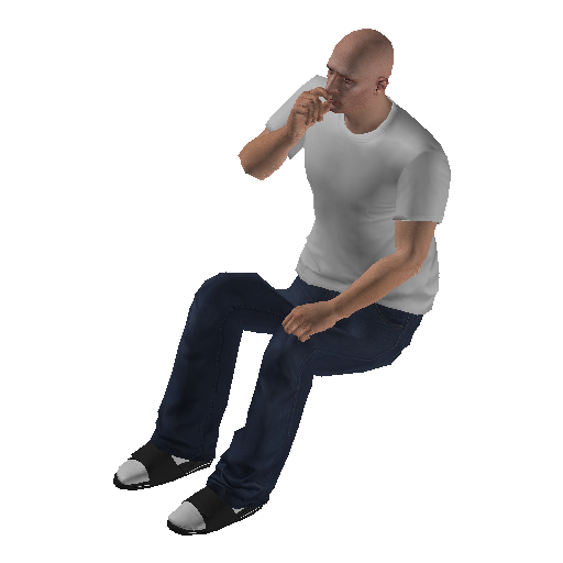 anim@mp_player_intveh@plane@luxor2@rear_back@smoke@ representative animation pose