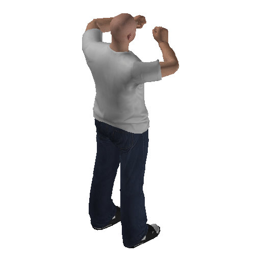 anim@mp_player_intin_carcry_babylow@ds@_1 representative animation pose