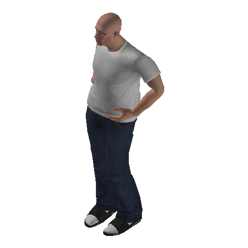 hs3f_sub_cel-12 representative animation pose
