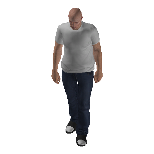 silj_int-3 representative animation pose