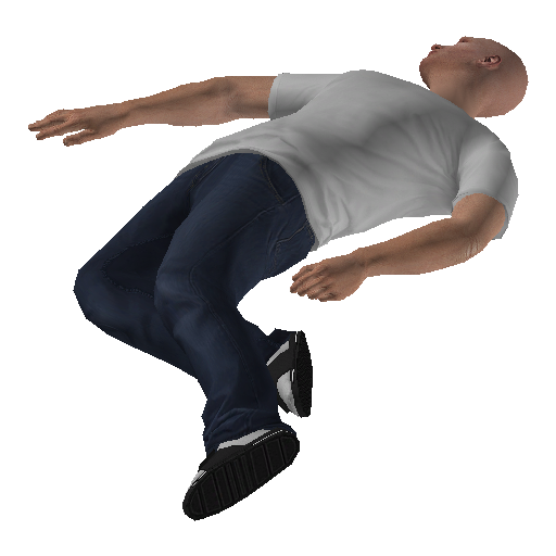 hang_int-14 representative animation pose