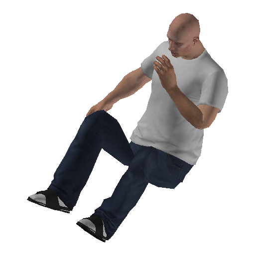 anim@mp_player_intincarshushstd@ds@ representative animation pose