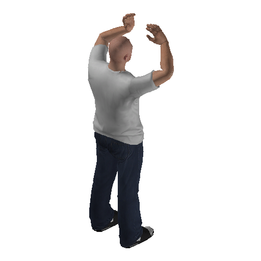 anim@mp_player_intin_carcry_babybodhi@rps@_1 representative animation pose