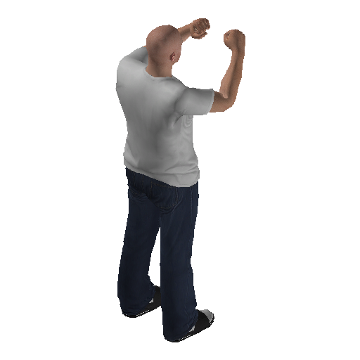 anim@mp_player_intin_carshadow_boxingbodhi@rds@ representative animation pose