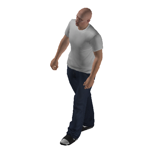 hs3f_int1-1 representative animation pose