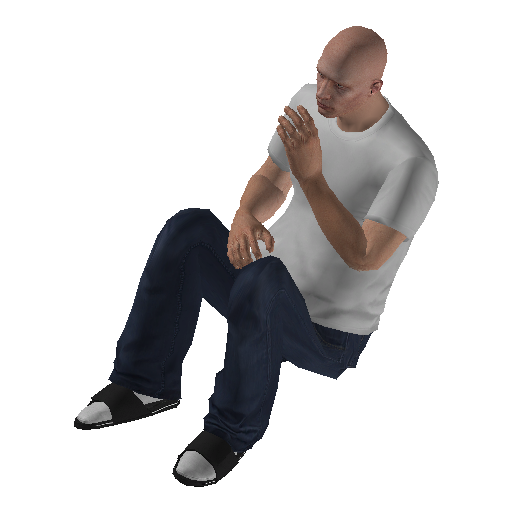 anim@mp_player_intincarshushstd@rds@ representative animation pose