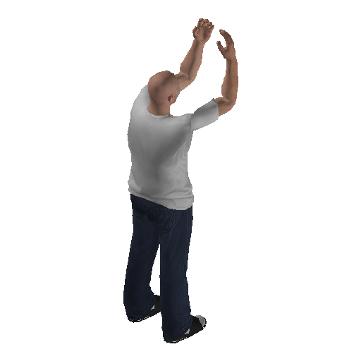 anim@mp_player_intincarchicken_tauntbodhi@rps@ representative animation pose