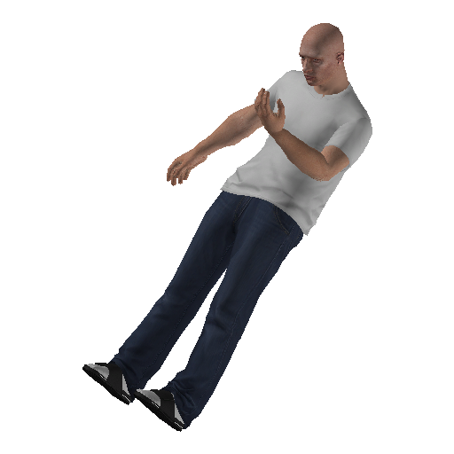 anim@mp_player_intincarwanklow@ds@_1 representative animation pose