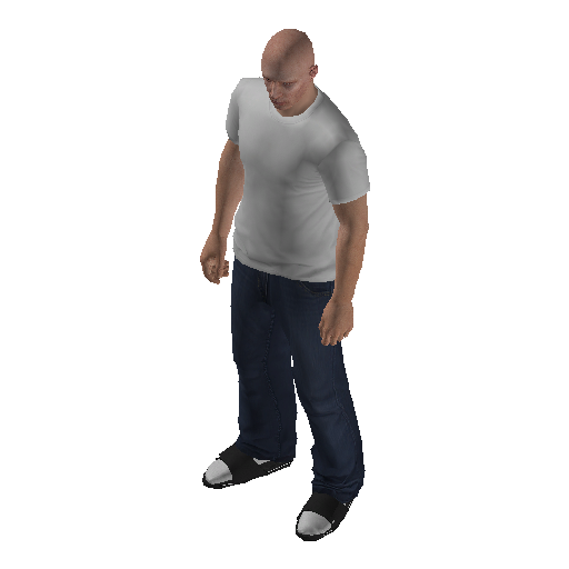 hs4f_int-10 representative animation pose