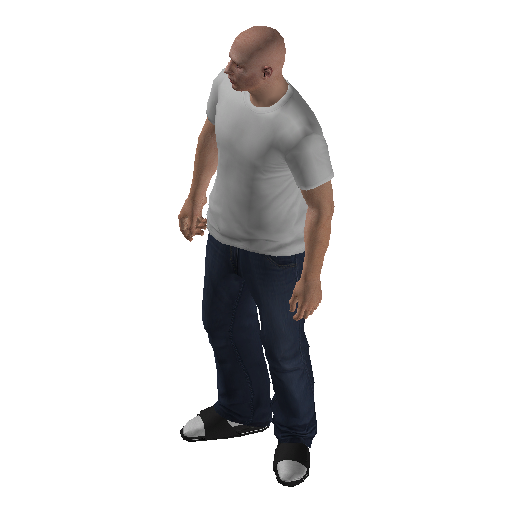 hs4f_int-13 representative animation pose