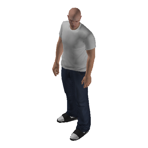 mpcas5_int-15 representative animation pose